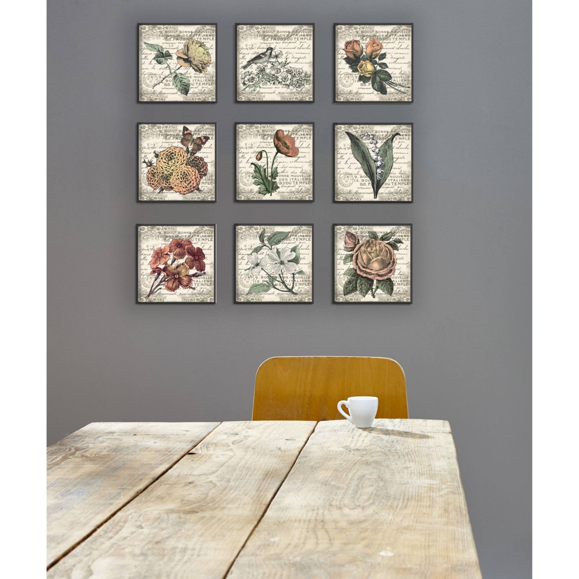 Stupell Industries French Botanical Multi Panel Illustrations
